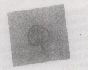 Indo Count Logo Device mark 544634 Trademark