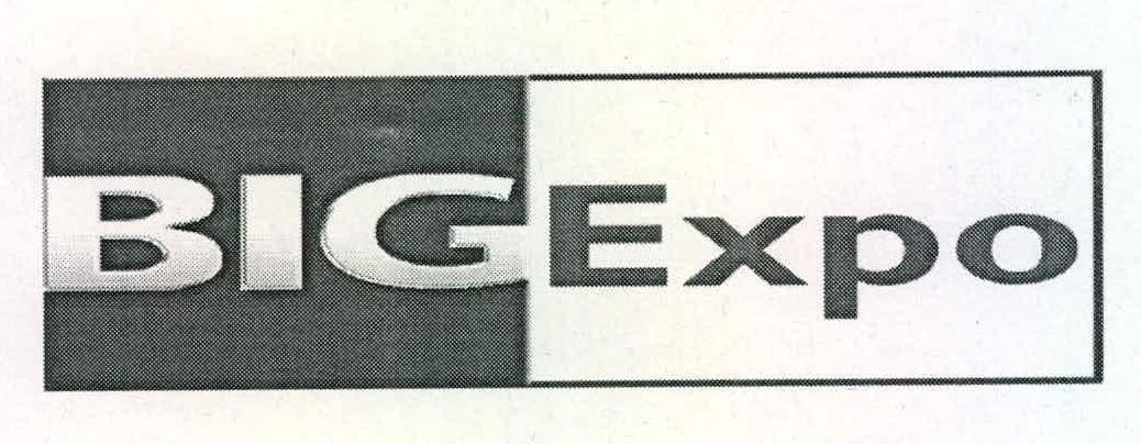Big Expo Device mark 2228961 Trademark