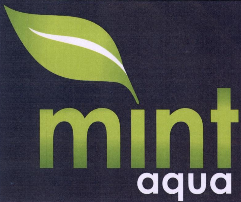 Mint Aqua Device mark 2412639 Trademark