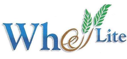 Whee Lite Device mark 2894946 Trademark