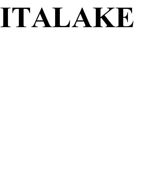 Italake Device mark 2607586 Trademark