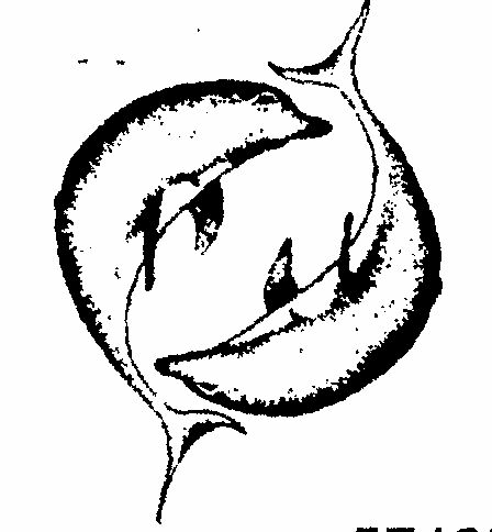No Name Device mark 571236 Trademark