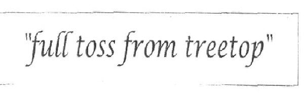 Full Toss From Treetop (device) Device mark 2479942 Trademark