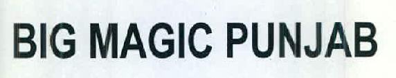 Big Magic Punjab Device mark 2570635 Trademark