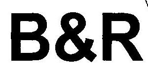 B&r Device mark 2513221 Trademark