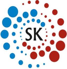 Sk Device mark 2802857 Trademark