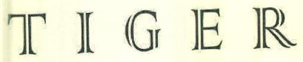 Tiger Device mark 2971408 Trademark