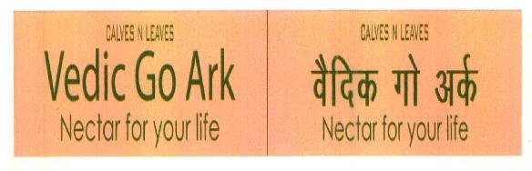 Vedic Go Ark Device mark 2617807 Trademark