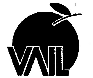 Vail Device mark 713907 Trademark