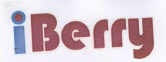Iberry Device mark 1872498 Trademark