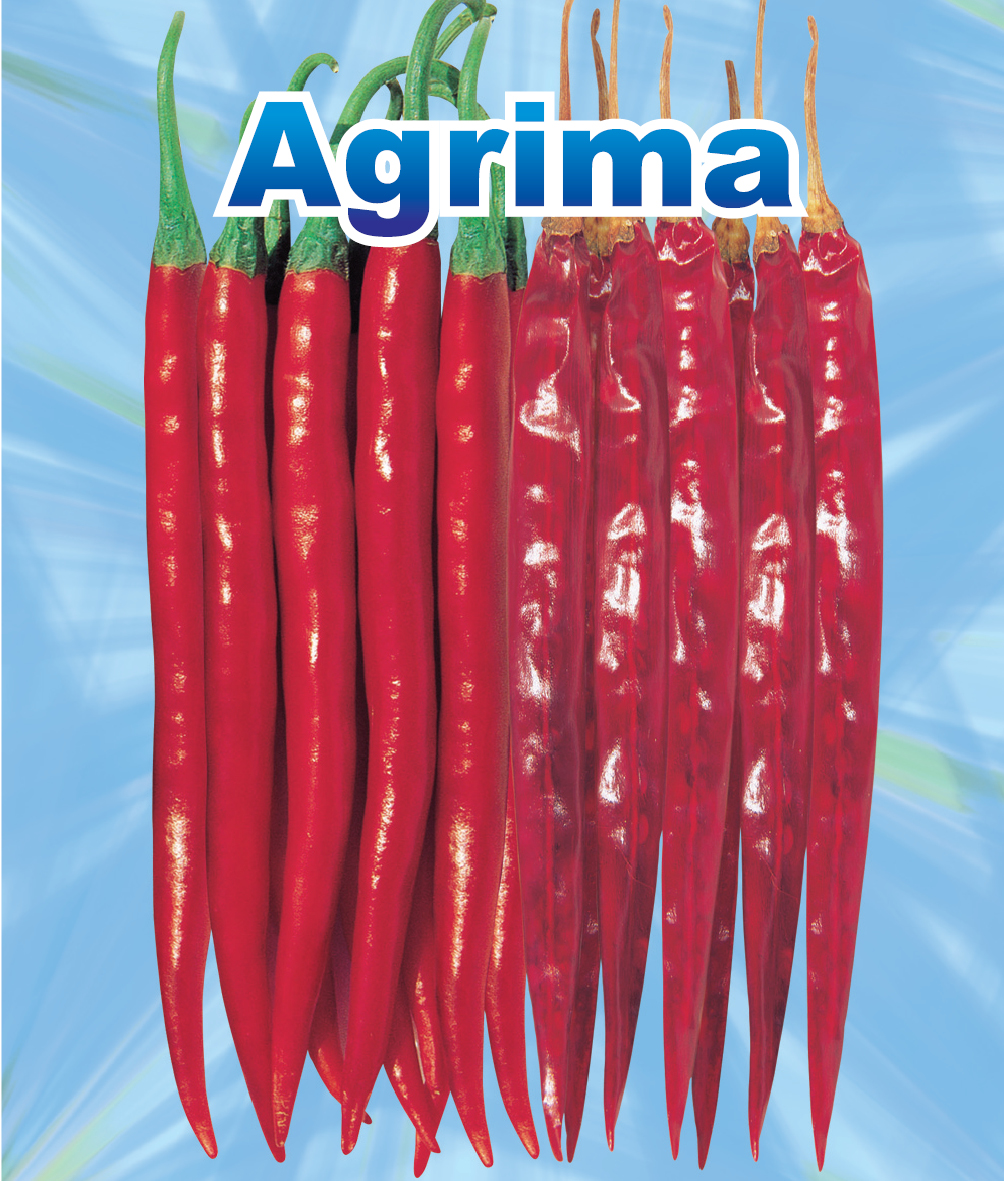 Agrima Device mark 2577164 Trademark
