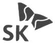 Sk Logo Device mark 1391206 Trademark