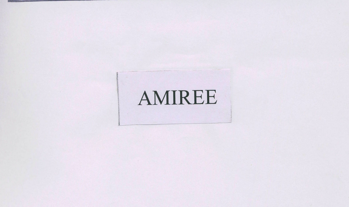 Amiree Device mark 1657293 Trademark
