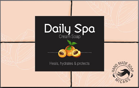 Daily Spa Device mark 2832564 Trademark
