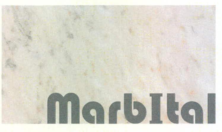 Marbital Device mark 2217481 Trademark