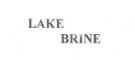 Lake Brine Device mark 1928292 Trademark