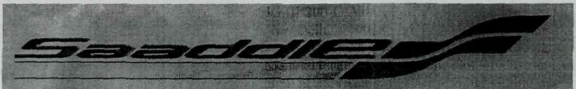 Saaddie Device mark 1947001 Trademark
