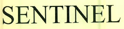 Sentinel Device mark 2749479 Trademark