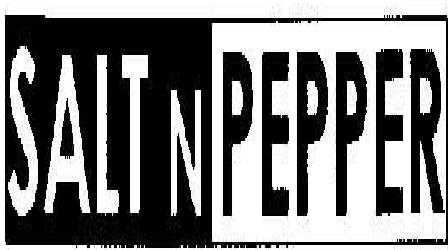 Salt N Pepper Device mark 1904131 Trademark