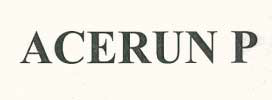 Acerun P Device mark 2387348 Trademark