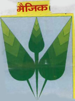 Magic Device mark 892494 Trademark