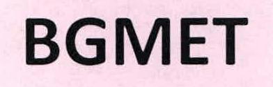 Bgmet Device mark 2249448 Trademark