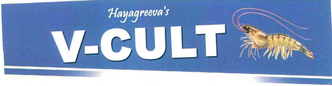 Hayagreeva's V-cult Device mark 2691786 Trademark