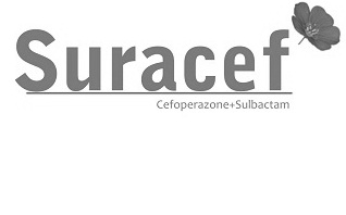 Suracef Device mark 2525551 Trademark