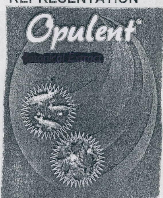 Opulent Device mark 2031870 Trademark
