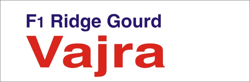 Vajra F1 Ridge Ground Device mark 2831796 Trademark