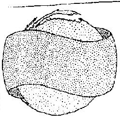 Misc. Geom. (device) Device mark 838860 Trademark