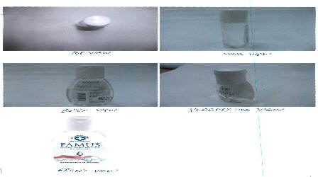 Famus (logo) Device mark 2060646 Trademark