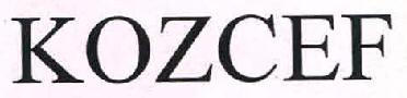 Kozcef Device mark 2856626 Trademark