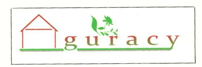 Aguracy(label) Device mark 2396779 Trademark