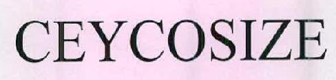 Ceycosize Device mark 2605738 Trademark