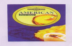American Device mark 1744462 Trademark