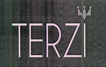 Terzi Device mark 2797333 Trademark
