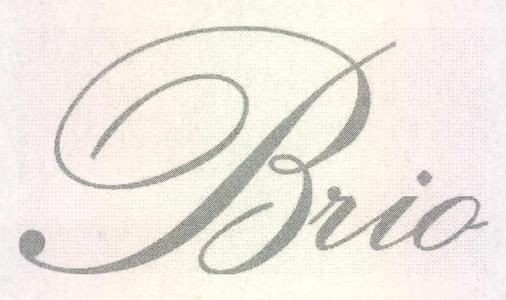 Brio Device mark 2201216 Trademark