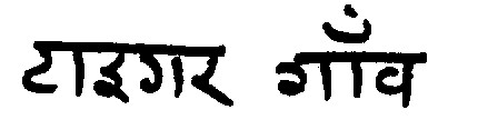Tiger Gaugh Device mark 964694 Trademark