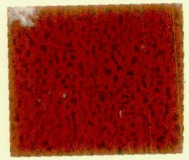 Device Of Granite Label Device mark 1148049 Trademark
