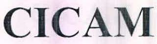 Cicam Device mark 2526123 Trademark