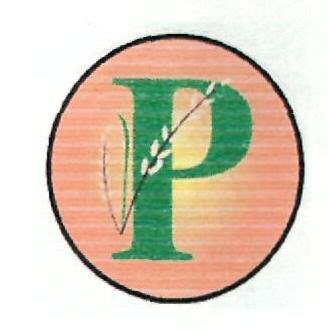 P (device) Device mark 2409976 Trademark