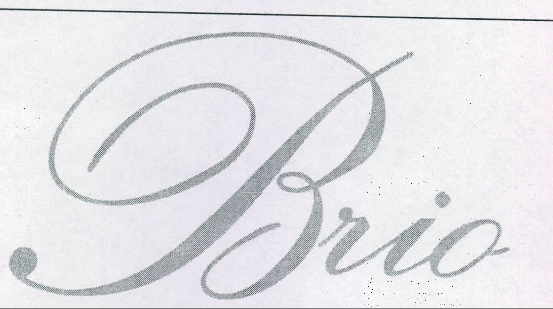 Brio (logo) Device mark 1995888 Trademark