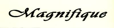Magnifique Device mark 2528391 Trademark