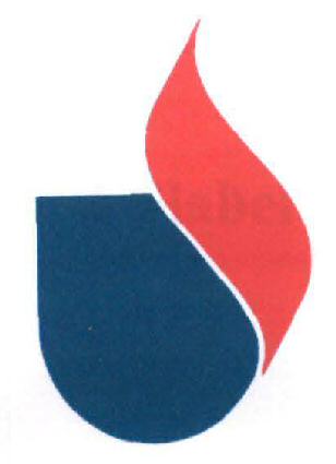 No Name Device mark 2055276 Trademark