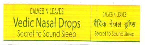Vedic Nasal Drops Device mark 2617805 Trademark