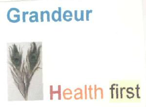 Grandeur Health First Device mark 2875469 Trademark