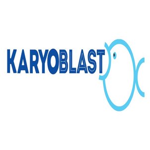 Karyoblast Device mark 2967323 Trademark