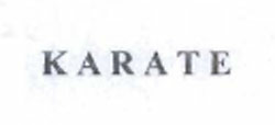 Karate Device mark 1101738 Trademark
