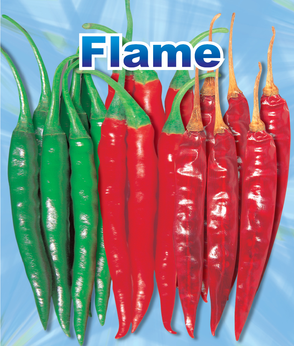 Flame Device mark 2577165 Trademark